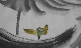 二级黄色视频,内容解析与警示